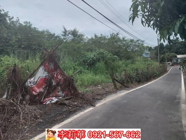 台南新化農地-6