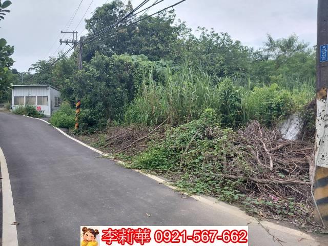 台南新化農地-7