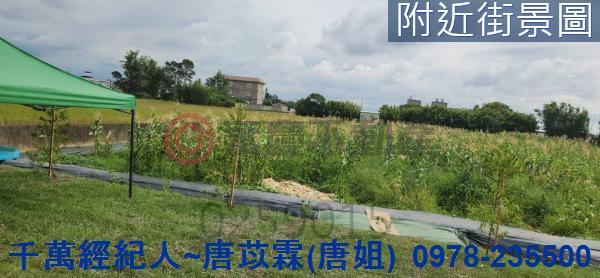 新竹湖口農地-5