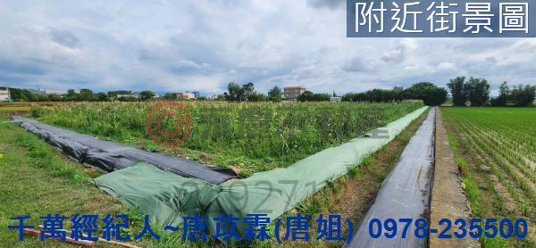 新竹湖口農地-5