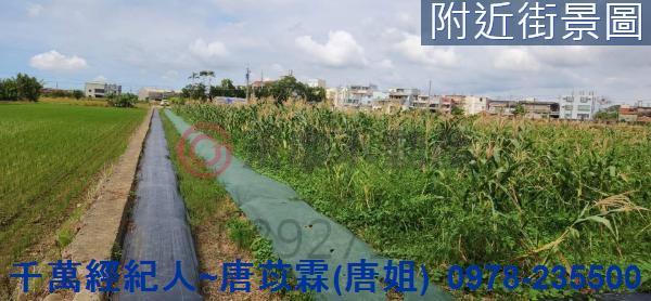 新竹湖口農地-6