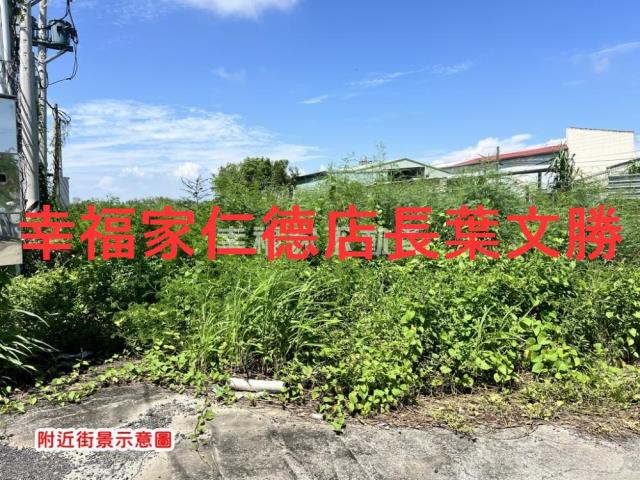 台南仁德農地-2