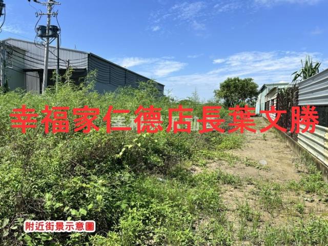 台南仁德農地-4