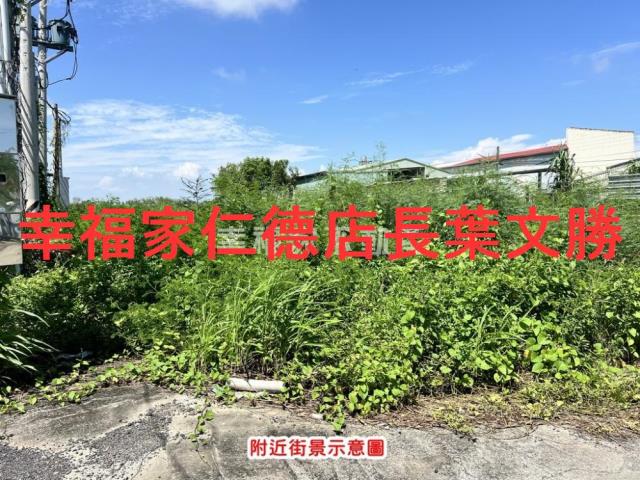 台南仁德農地-5