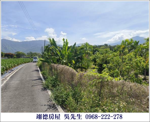 屏東高樹農地-3