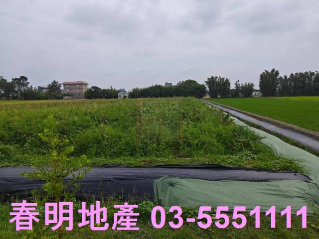 新竹湖口農地-6