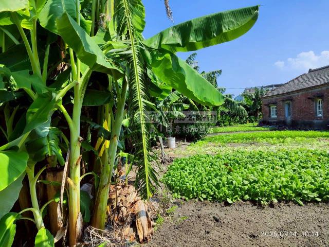 雲林四湖建地-10