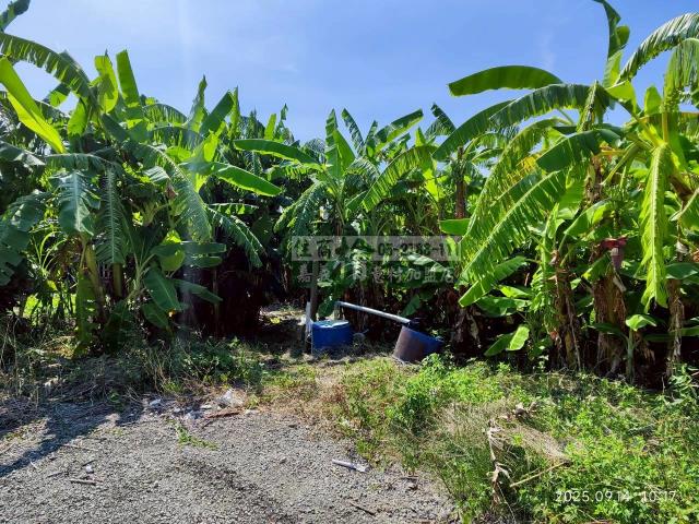 雲林四湖建地-11