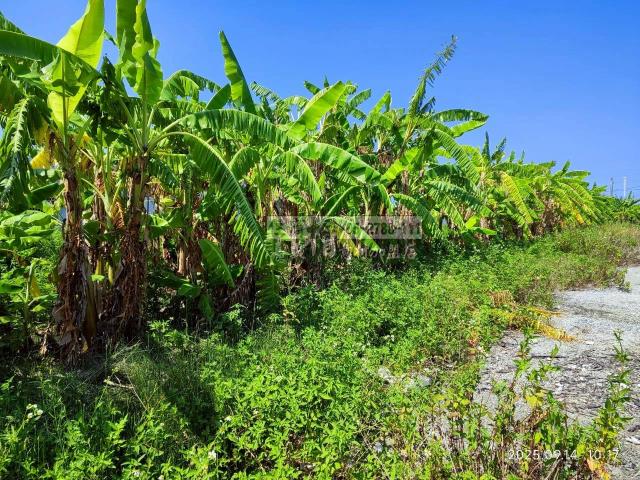 雲林四湖建地-12