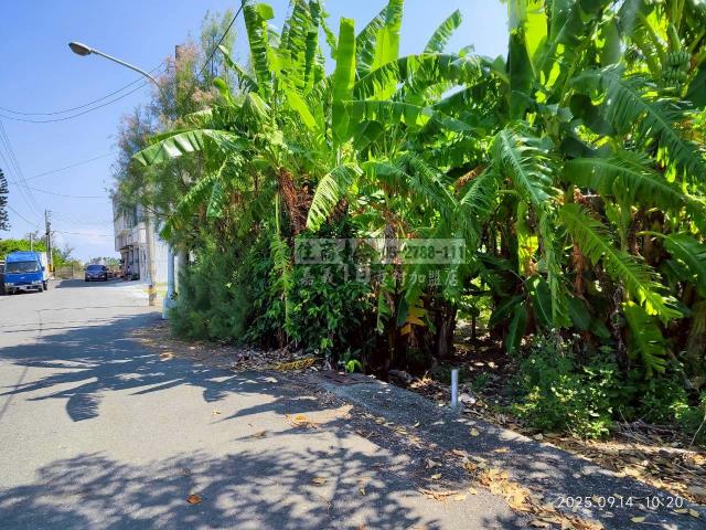 雲林四湖建地-5