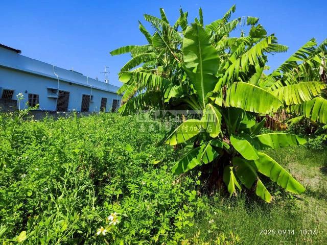 雲林四湖建地-7