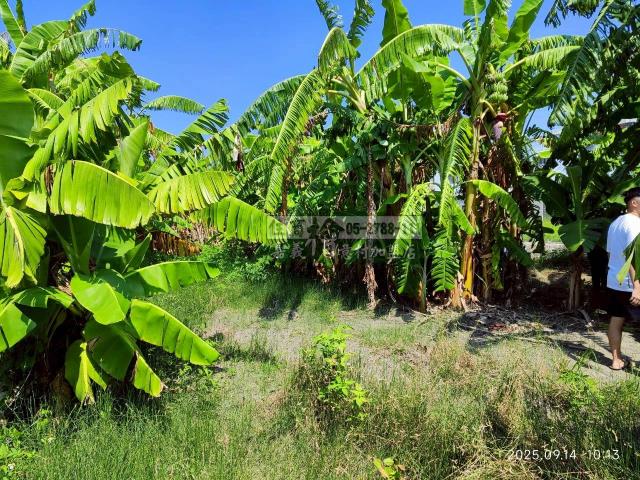 雲林四湖建地-8