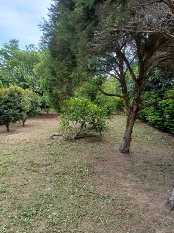 苗栗通霄農地-3