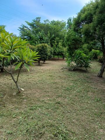 苗栗通霄農地-4