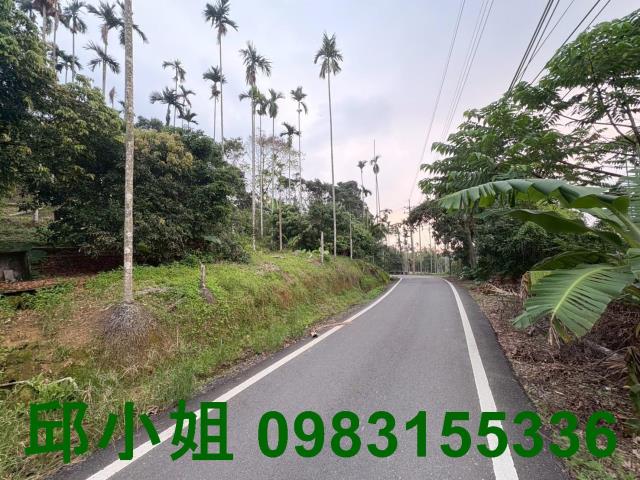 嘉義中埔農地-2