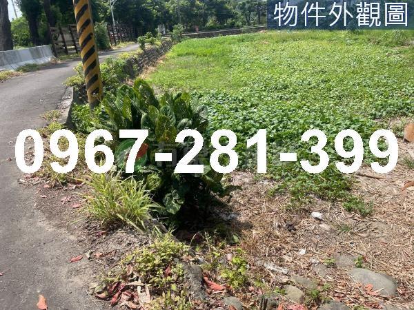 苗栗頭份工業地-1