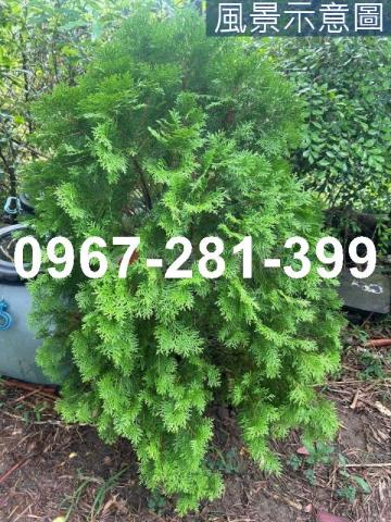 苗栗頭份農地-12