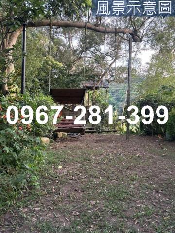 苗栗頭份農地-7