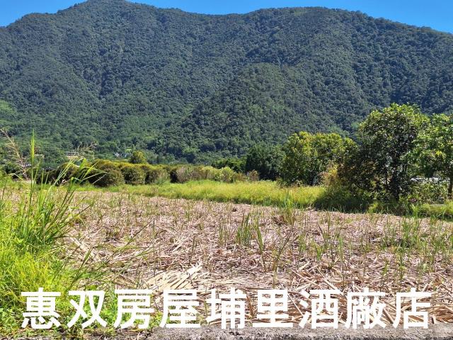 南投埔里農地-1