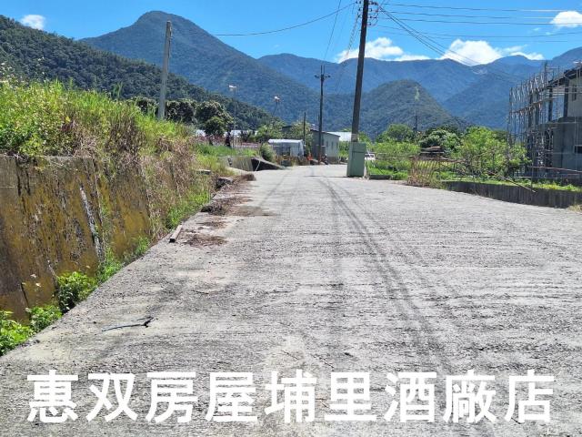南投埔里農地-2