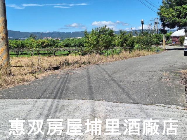 南投埔里農地-4