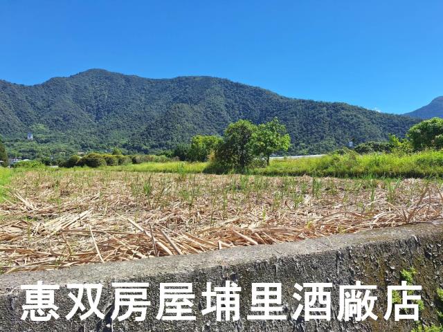 南投埔里農地-5