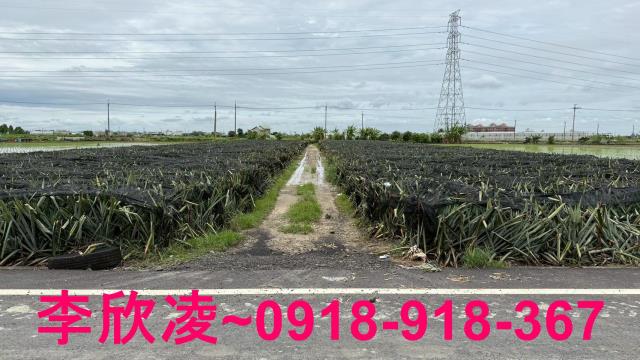 嘉義民雄農地-5