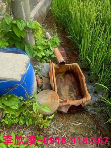 雲林北港農地-5