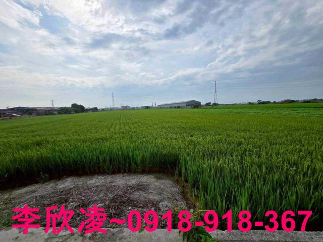 雲林北港農地-9