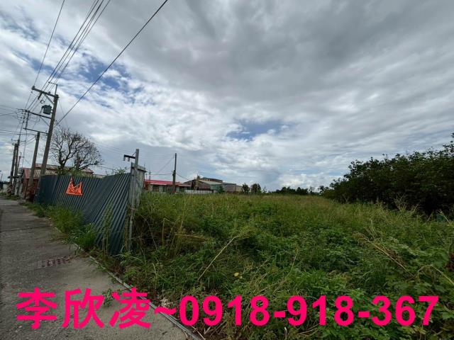 嘉義新港農地-4