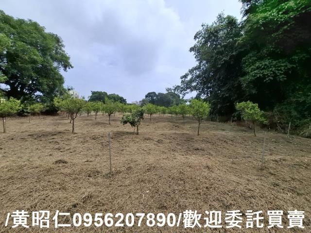 台南新化農地-4