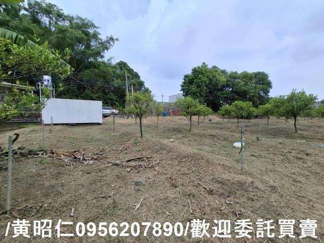 台南新化農地-7