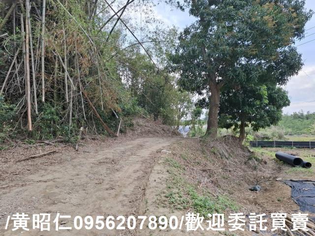 台南關廟農地-10