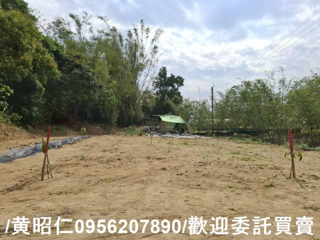 台南關廟農地-4