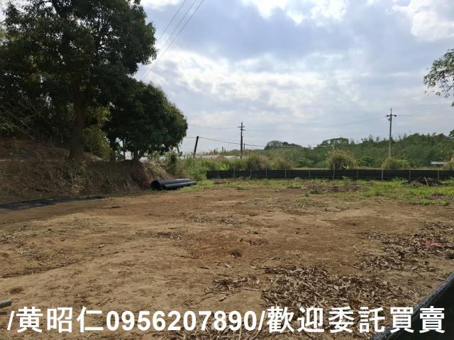 台南關廟農地-5