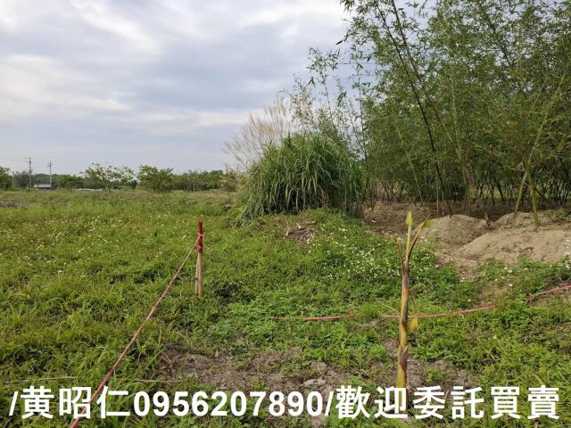 台南關廟農地-6