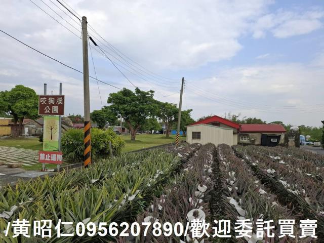 台南關廟農地-9
