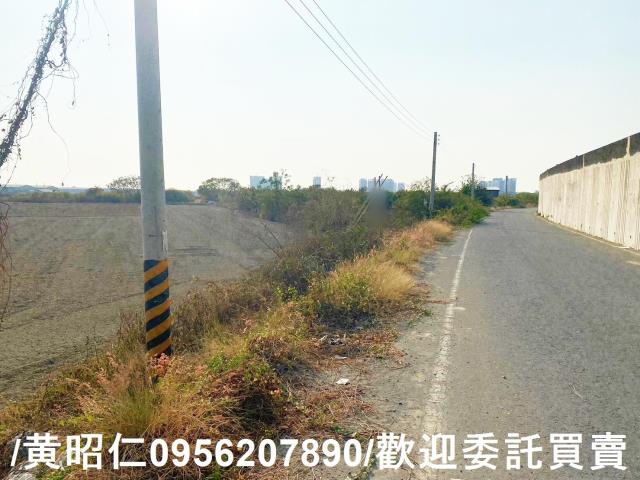 台南仁德農地-8