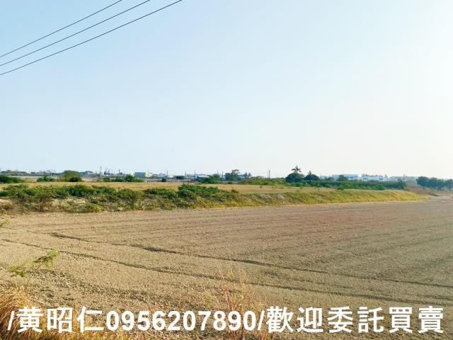 台南仁德農地-9