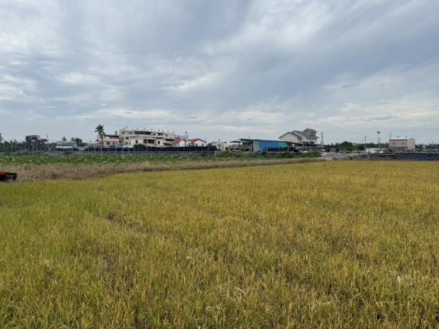 屏東市農地-1