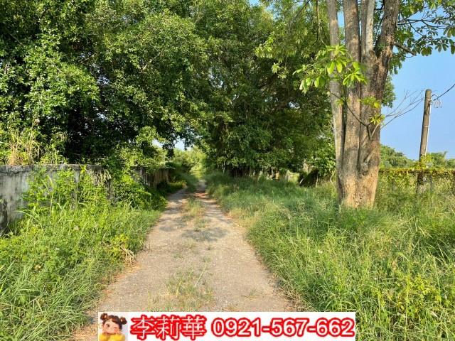 台南農地-13