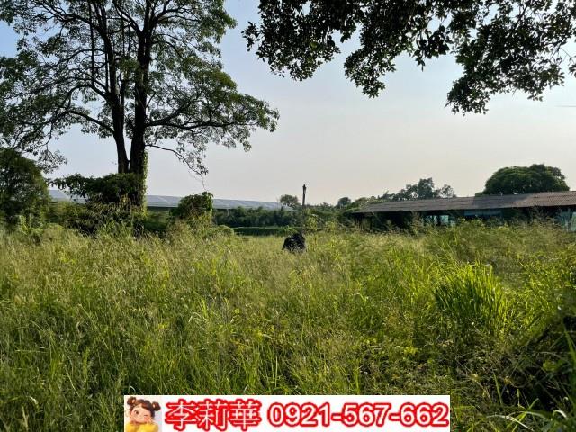 台南農地-7
