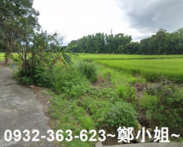 桃園中壢農地-2