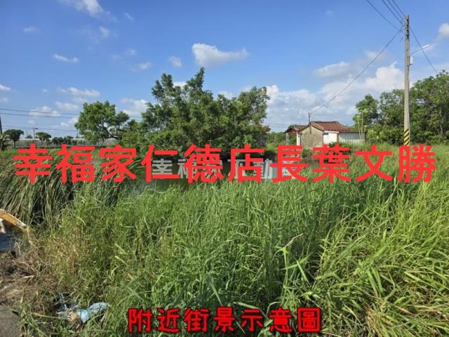 台南麻豆農地-3