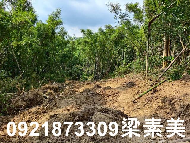 台南龍崎農地-3