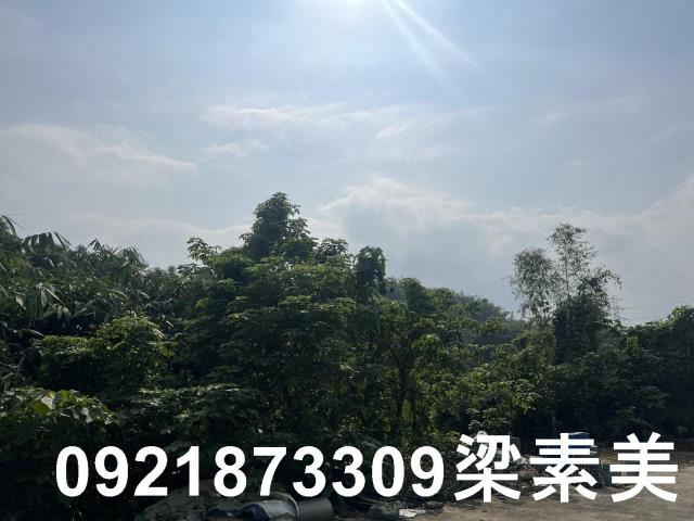 台南龍崎農地-3