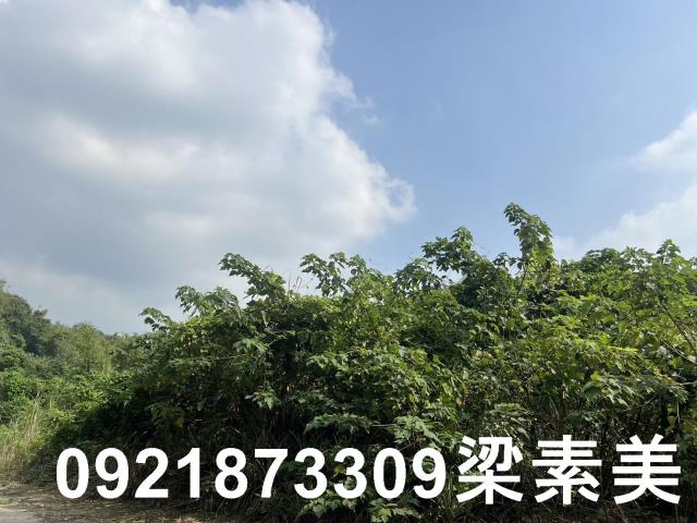 台南龍崎農地-4