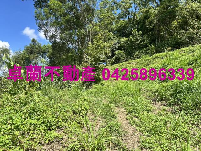 苗栗大湖山坡地-10