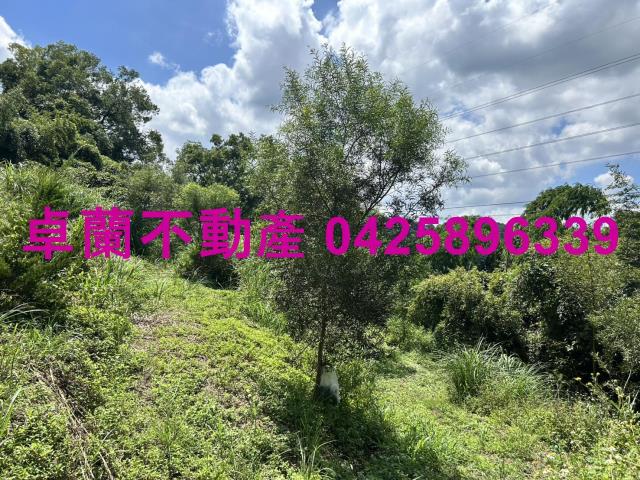 苗栗大湖山坡地-11