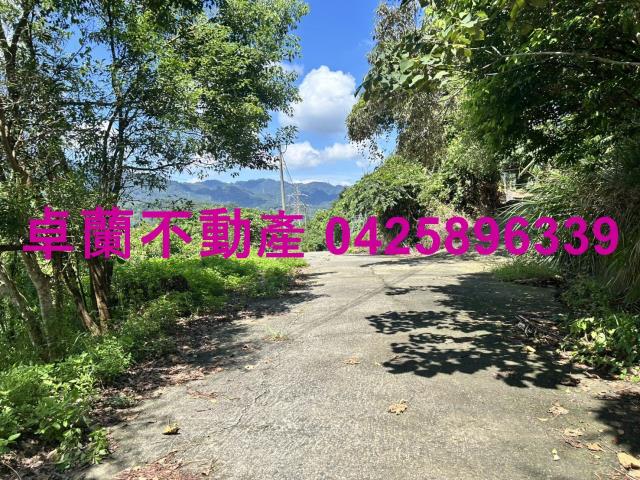 苗栗大湖山坡地-12